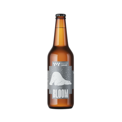 Lariano - Box da 12 Birre