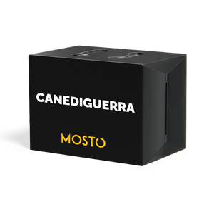 Box Canediguerra