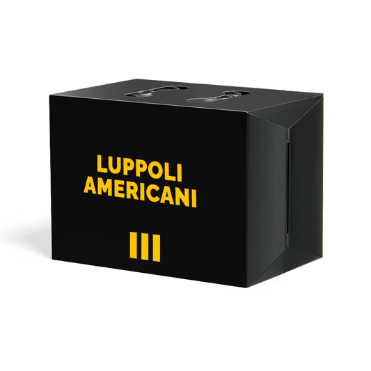 Box Luppoli Americani