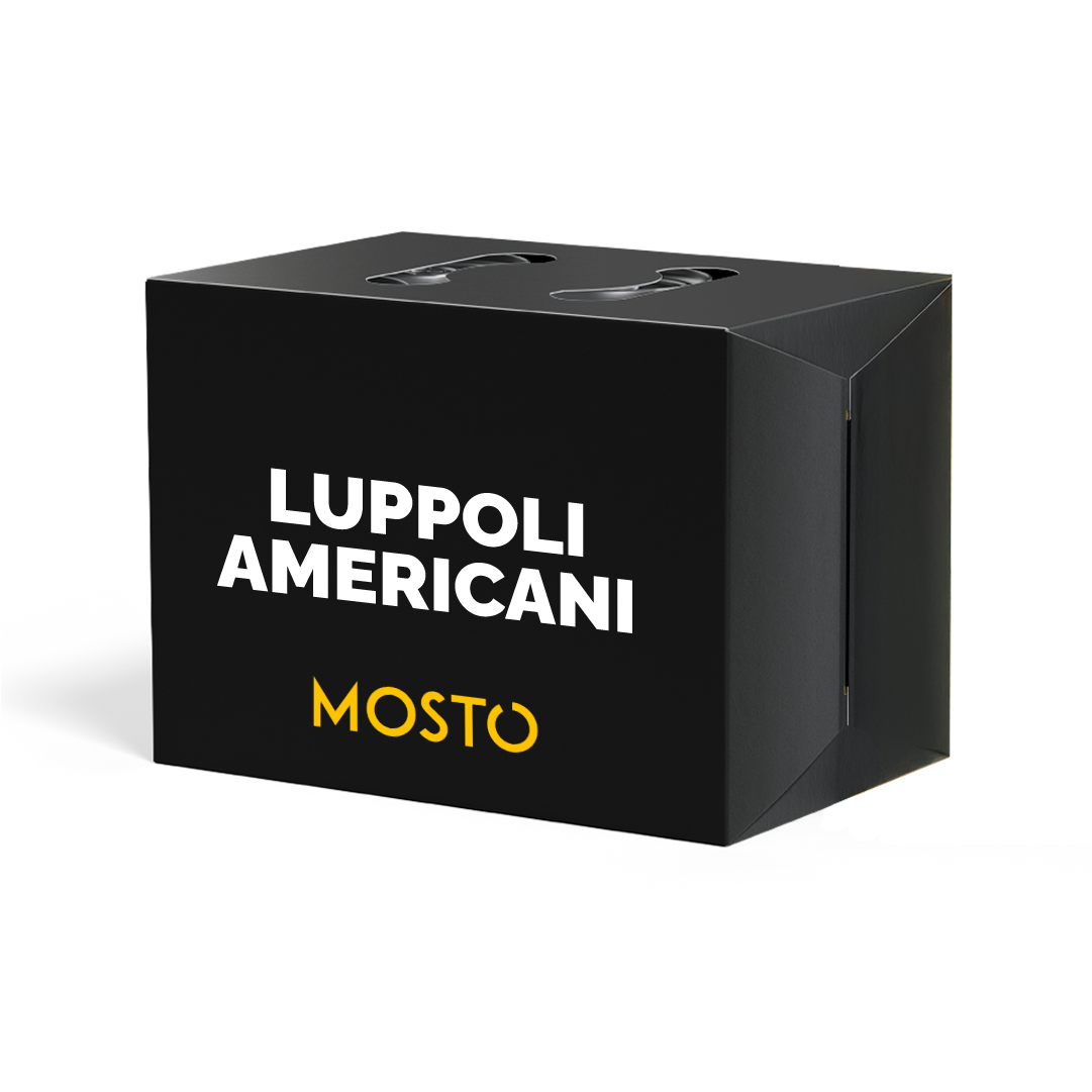 Box Luppoli Americani