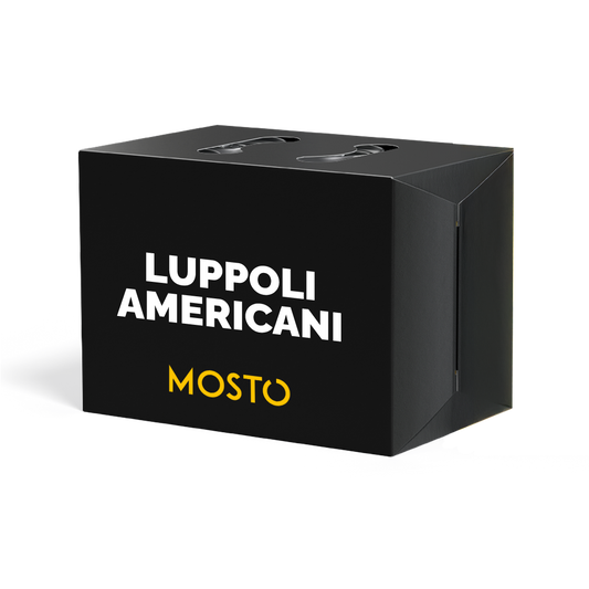 Box Luppoli Americani
