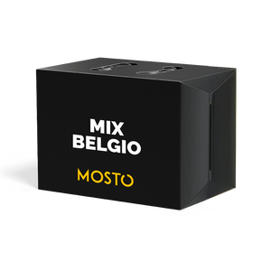 Box da 12 - Mix Belgio